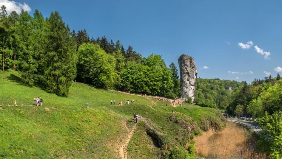 Malowniczy krajobraz z wielką wapienną skałą na wzgórzu, otoczoną zielonym lasem i trawą, z ludźmi spacerującymi ścieżką w pogodny, słoneczny dzień.