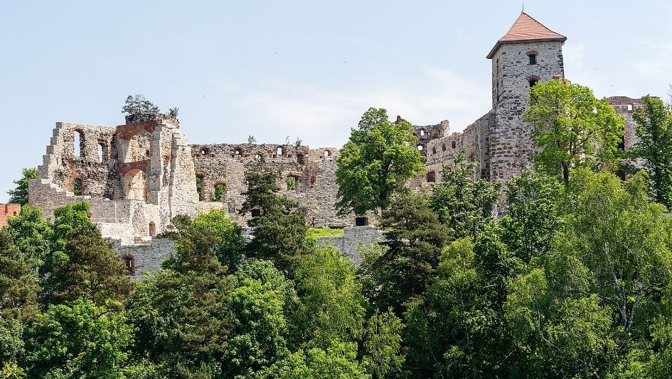 Ruiny zamku z kamiennymi ścianami i wieżą w otoczeniu zielonych drzew, pod jasnym niebem.