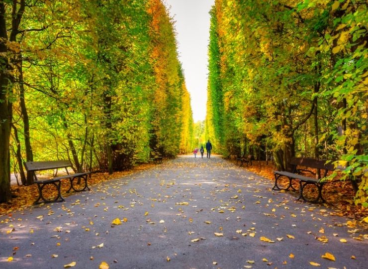 Ścieżka w parku otoczona wysokimi drzewami z kolorowymi liśćmi jesienią, z ławkami po obu stronach i trzema osobami spacerującymi w oddali.